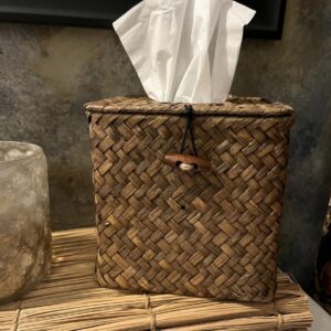 Tissue Box Spy Camera