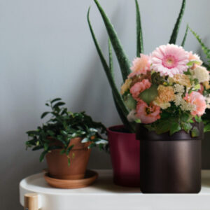 Flower Pot Hidden 4G Camera