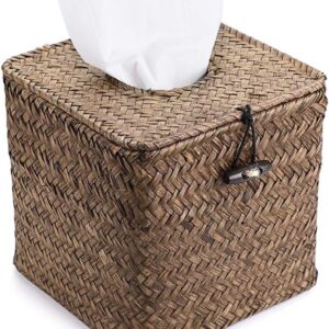 Tissue Box 4G Camera