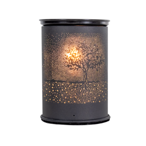 Wax Warmer Hidden WiFi Camera
